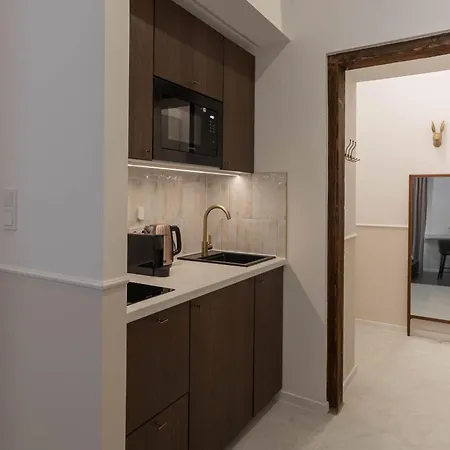 V15 Luxury Apartments In The Heart Of Budapest Exterior photo